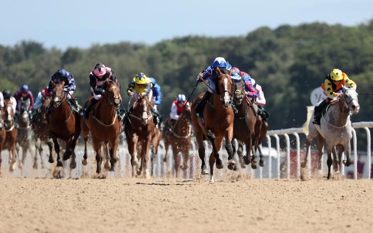 Withhold wins the Northumberland Plate 2018