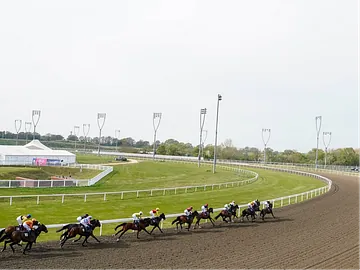 Chelmsford City Racecourse