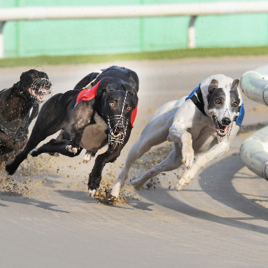 Arc Agrees To Acquire Cearnsport Ltd Arc