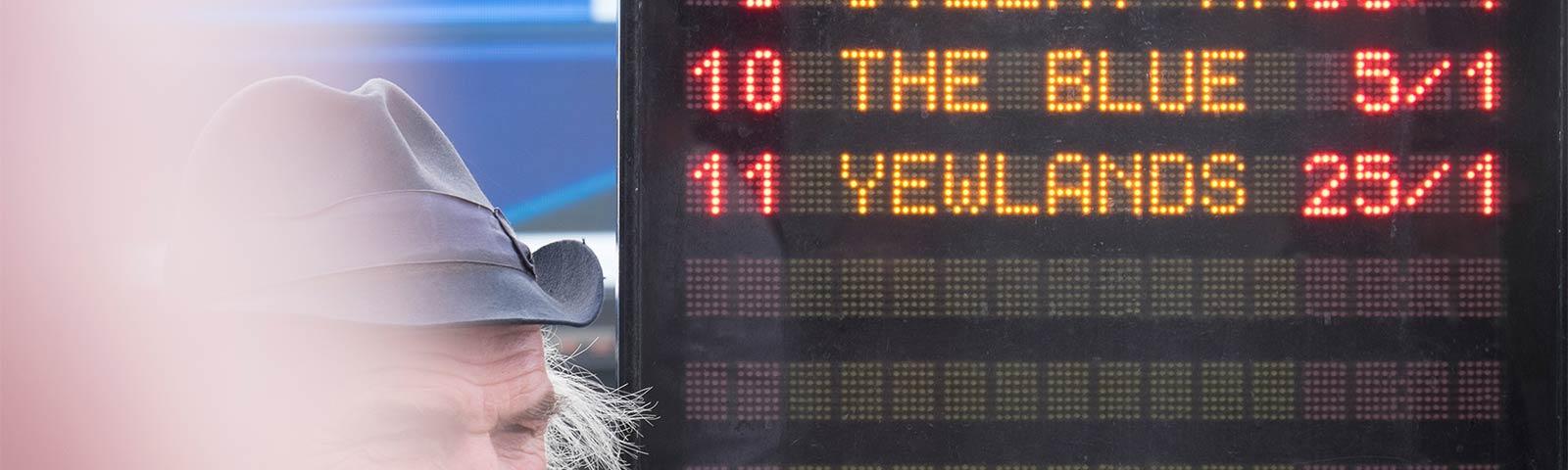 Bookmakers digital board showing available bets.