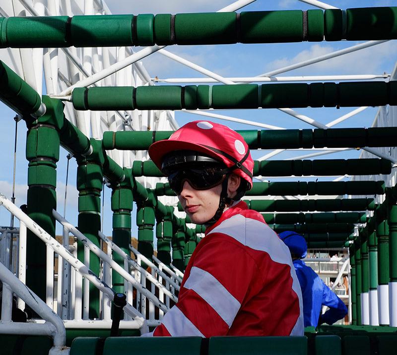 A jockey on their horse in the cage ready for the race to start.