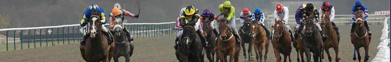 Group of jockeys racing.