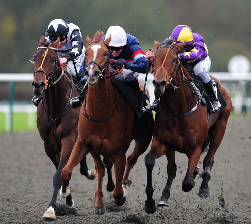 Aintree Racecourse