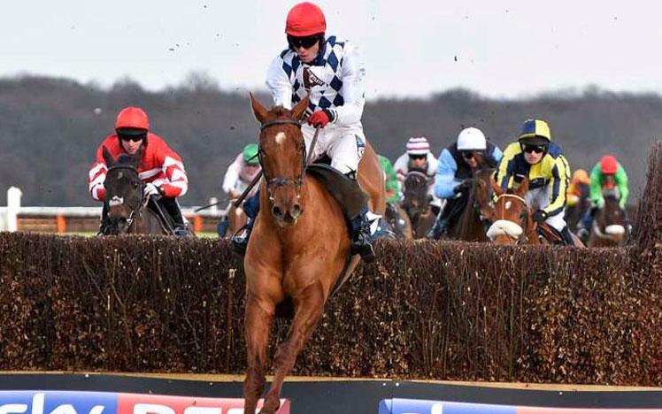 Jockey on a horse jumping over a hurdle.