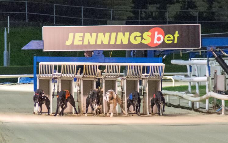 Greyhound Racing at Central Park Stadium