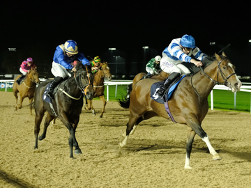 Havana Sky wins at Southwell Racecourse 14 December 2024