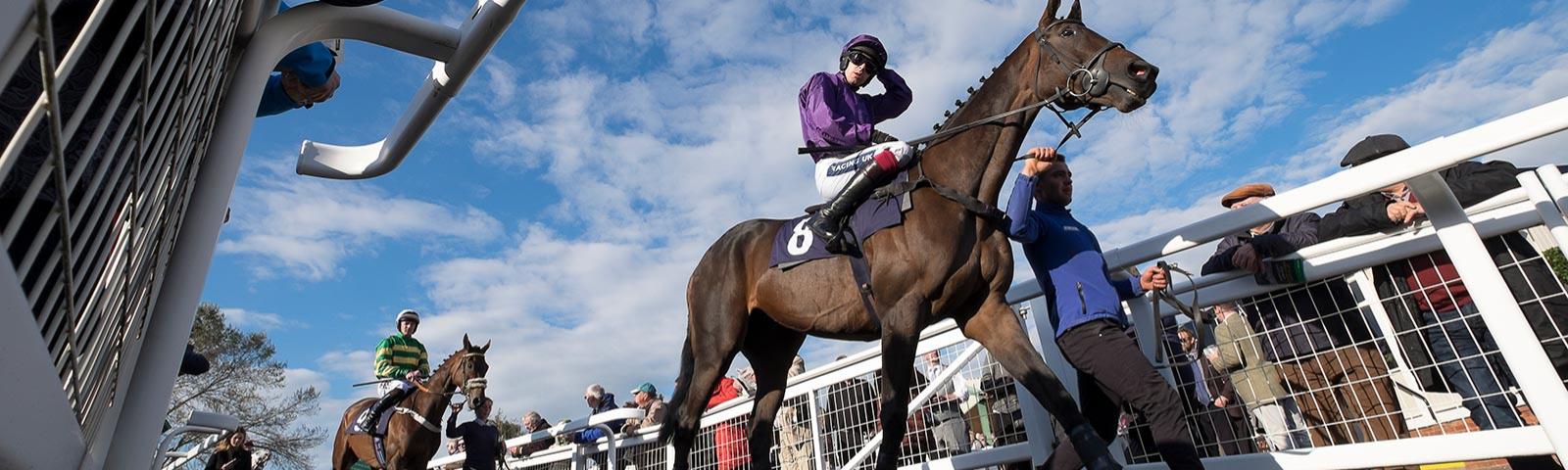 Jockeys on horses being led from the parade ring to the race track.