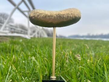 Nationwide sausage eating competition at Arena Racing Company Sausage and Cider Racedays