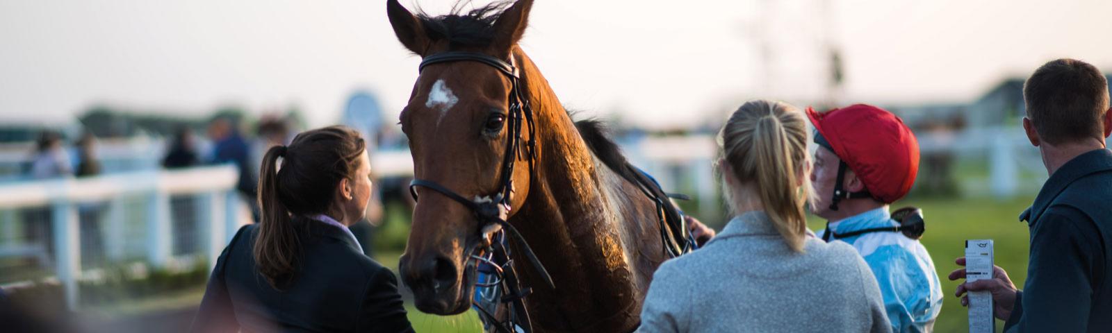About Arena Racing Company Arc