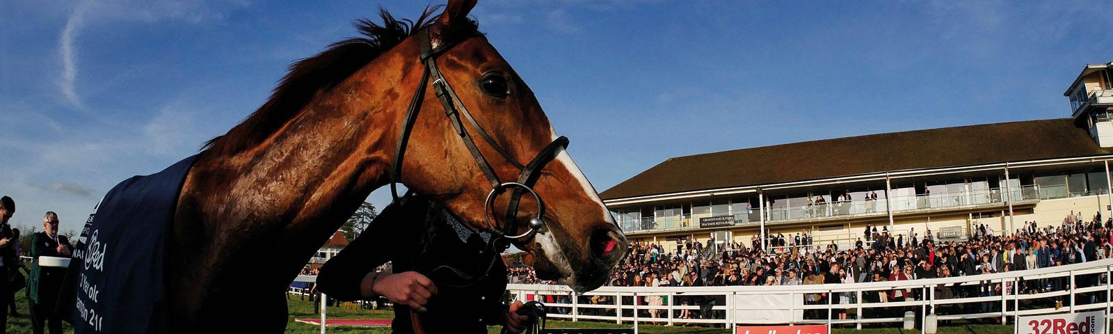 Horse being lead in front on of a crowd.