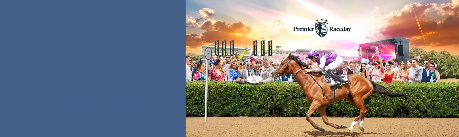 Promotional image for Newcastle Plate