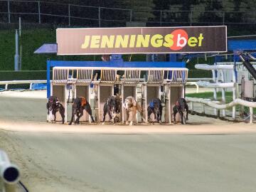 Greyhound Racing at Central Park Stadium