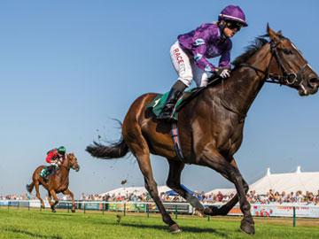 Two jockeys racing.