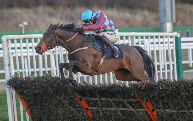 Hurdle Racing at Newcastle Racecourse