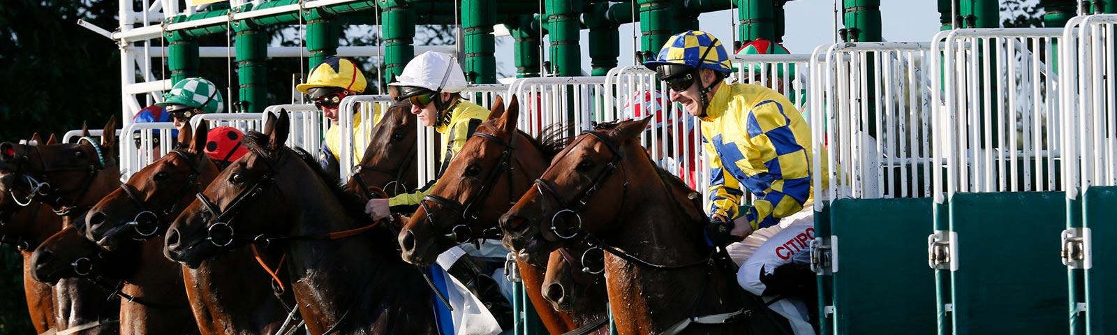 Line up of jockeys setting off from the stalls.