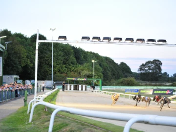 ARC Greyhound Racing