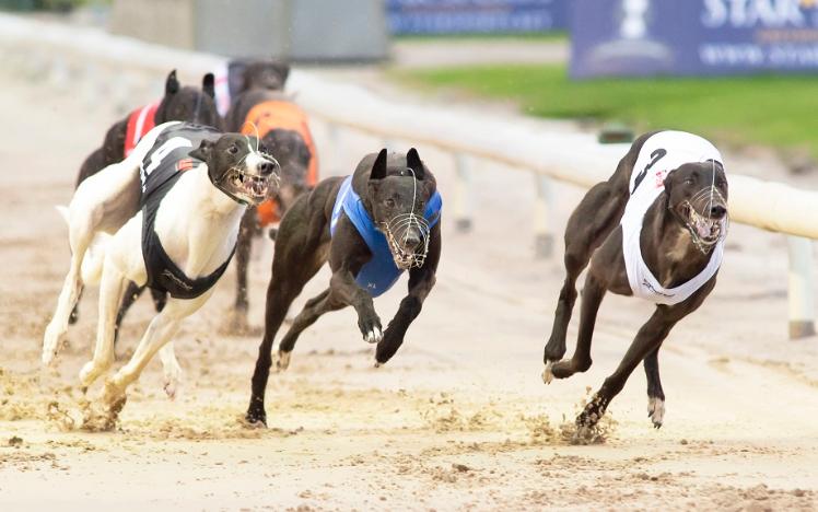 ARC announces the acquisition of Nottingham Greyhound Stadium