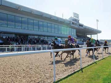 Our Racecourses Racing Arena Racing Company